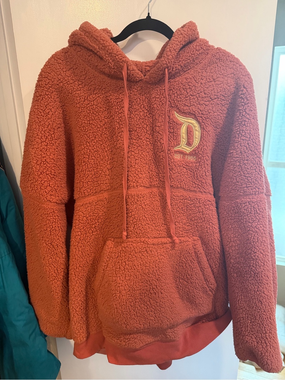 Cozy Sherpa Hoodie Sweater in Rose Gold